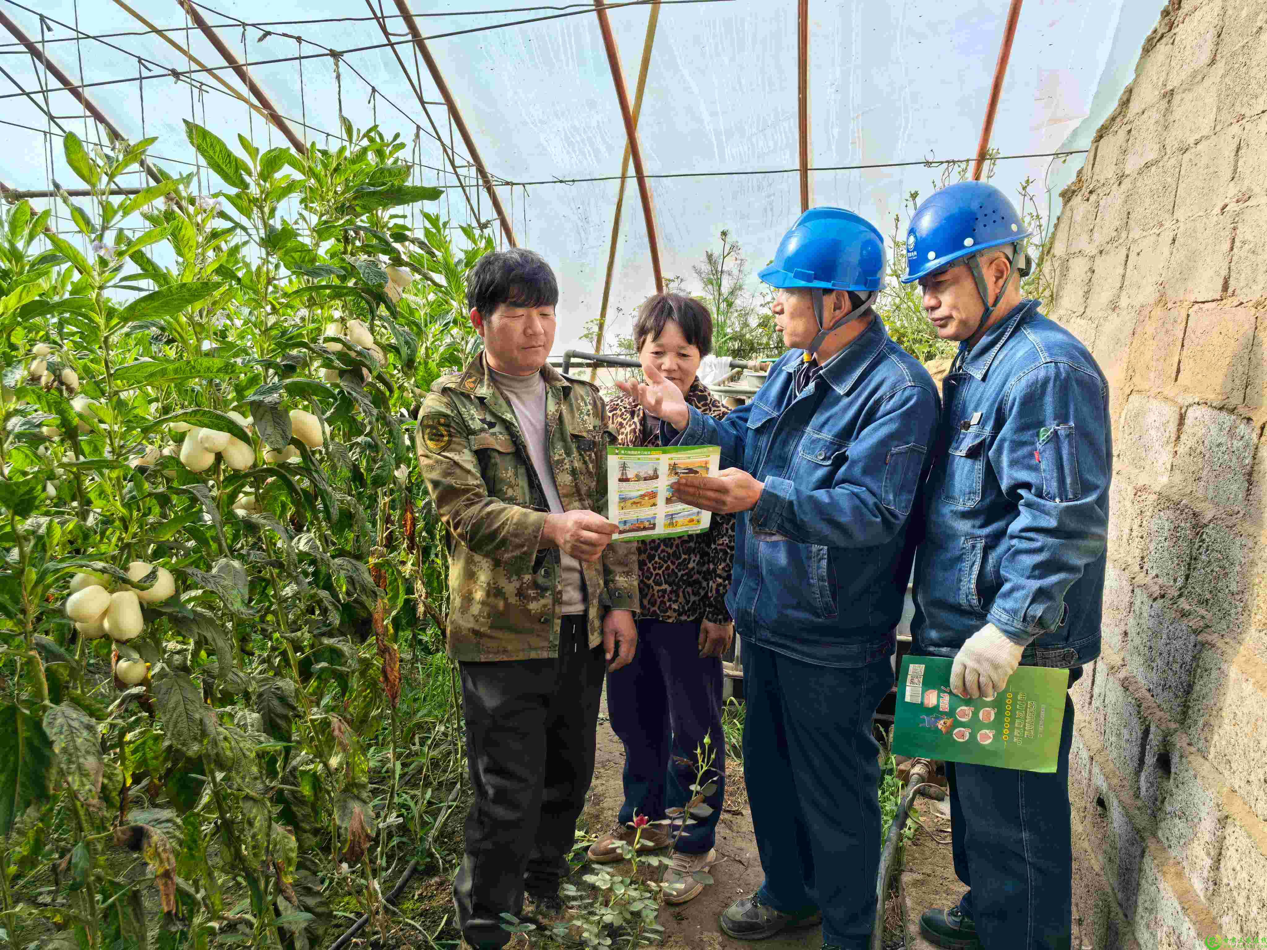 现场检查精准指导，及时解决农户遇到的各类用电问题(1).jpg
