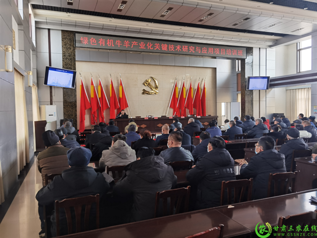 图片6(1).png