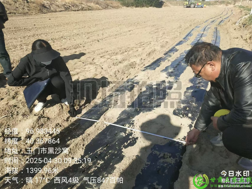 图片4(1).png