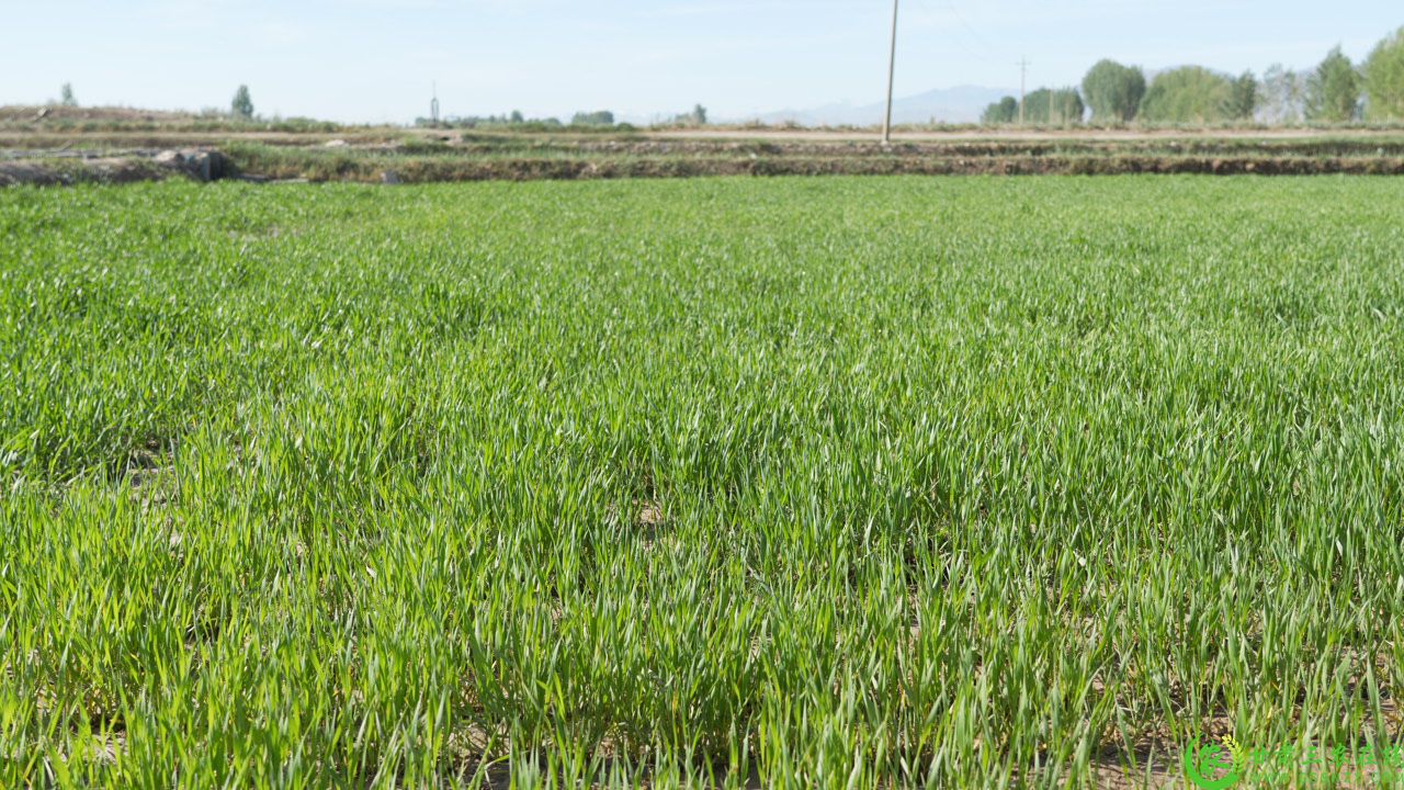 C8988T01.JPG