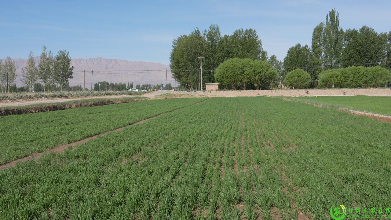 C8965T01.JPG