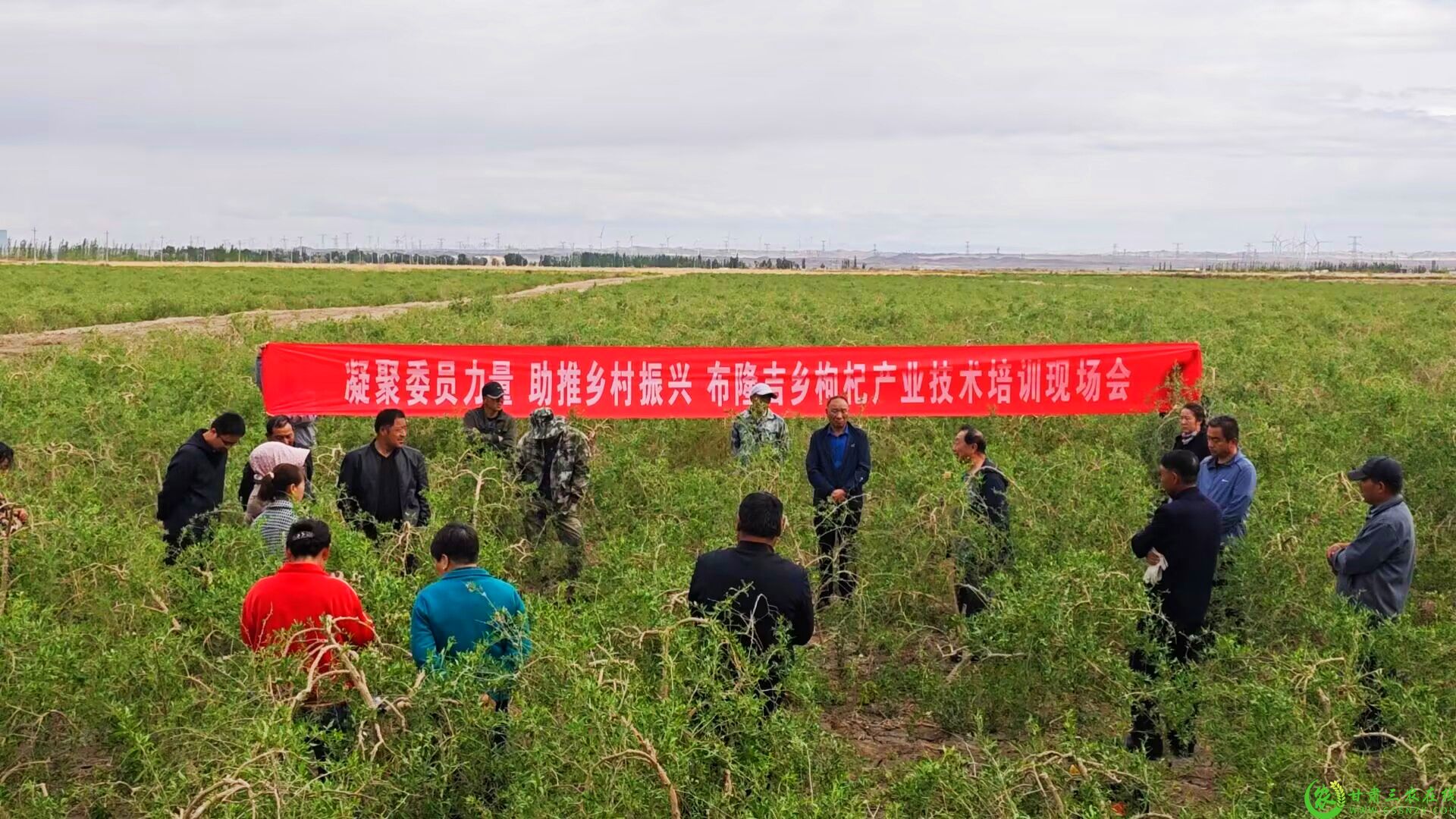 布隆吉乡枸杞培训会现场.jpg