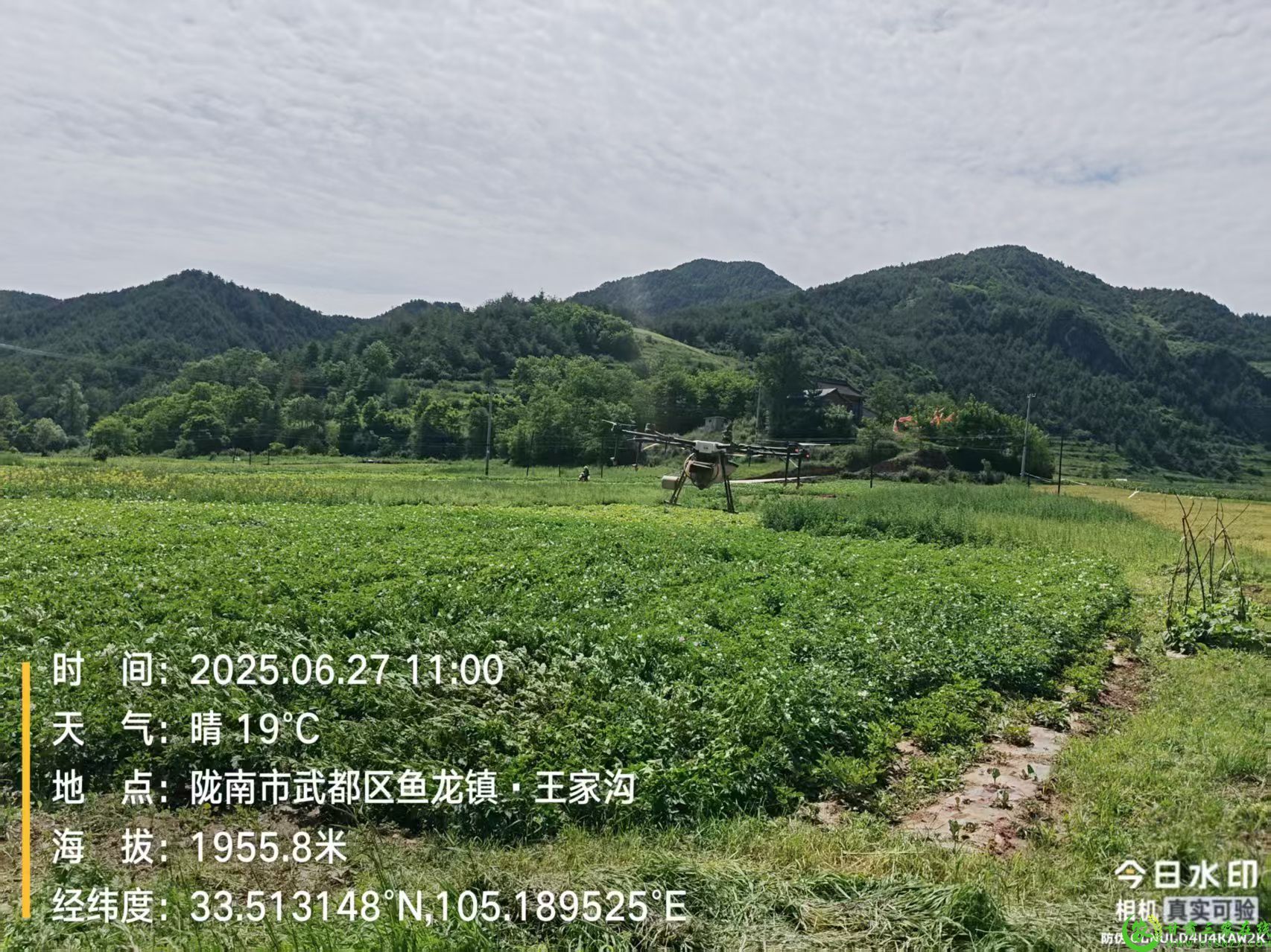 微信图片_20250630104154.jpg