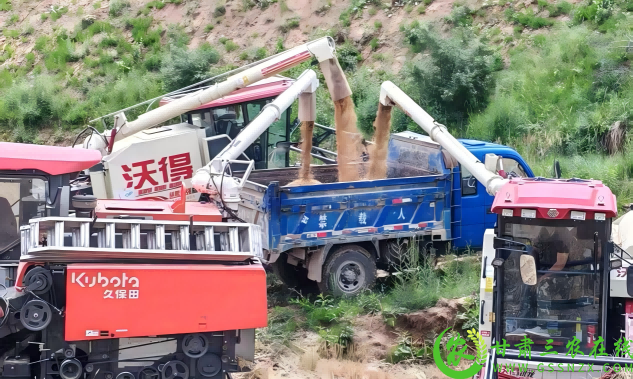 图片4(1).png