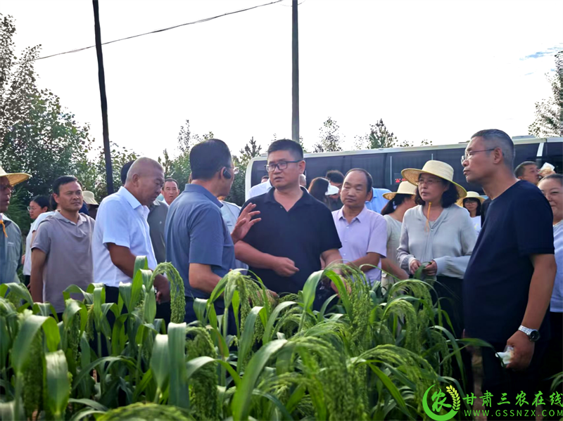 微信图片_2025-08-08_113918_271.png