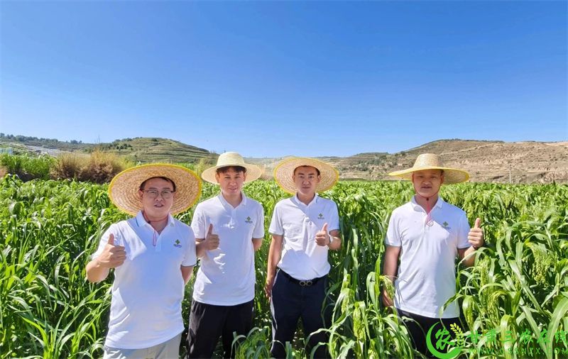 微信图片_2025-08-22_185550_444.jpg