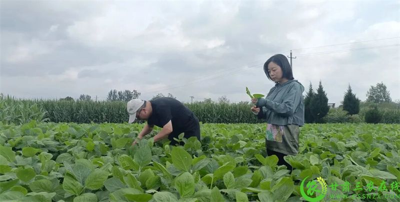 微信图片_2025-09-11_152500_671.jpg