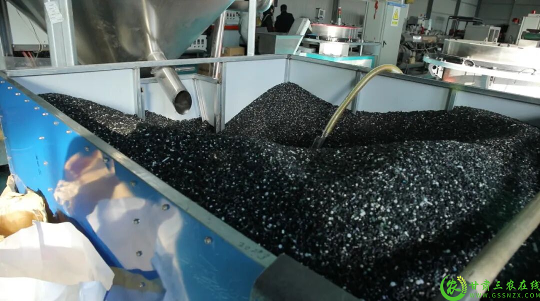 在瓜州春苗种业有限公司加工车间，回收来的废旧农膜在这里进行二次加工，“华丽变身”为再生塑料颗粒.png