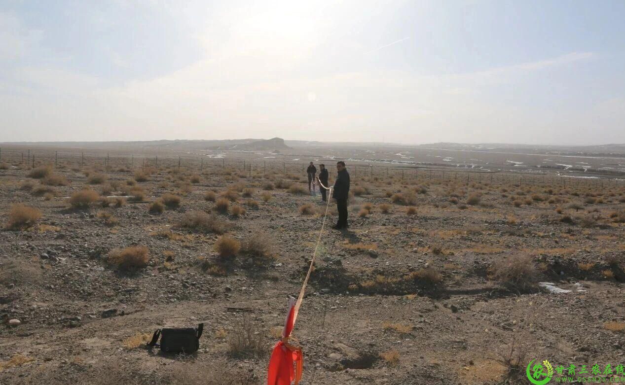 图片4  实地调查采集核心数据.jpg