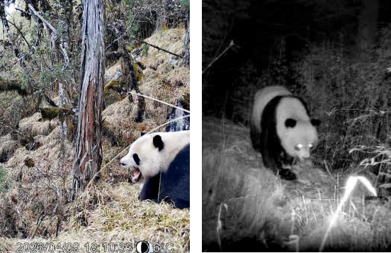 图片2.png