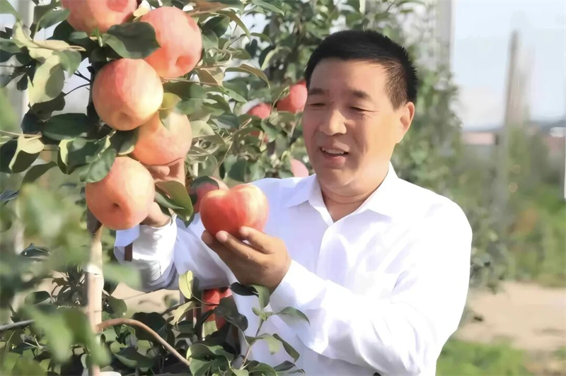 图片7.png