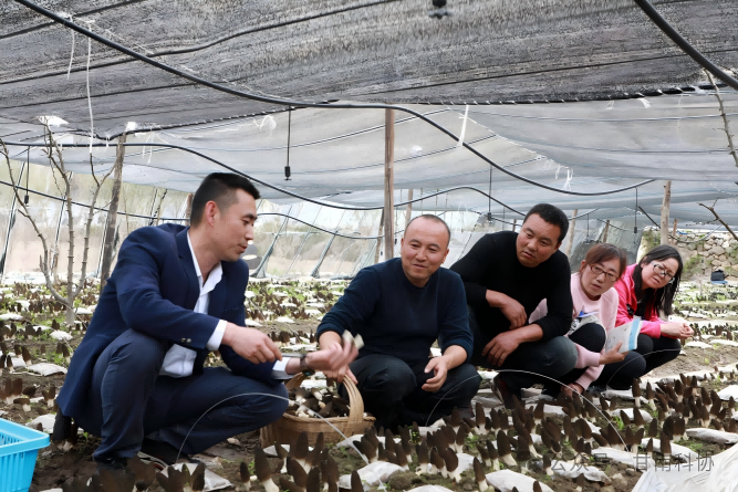 微信图片_2026-05-08_083741_080(1).png