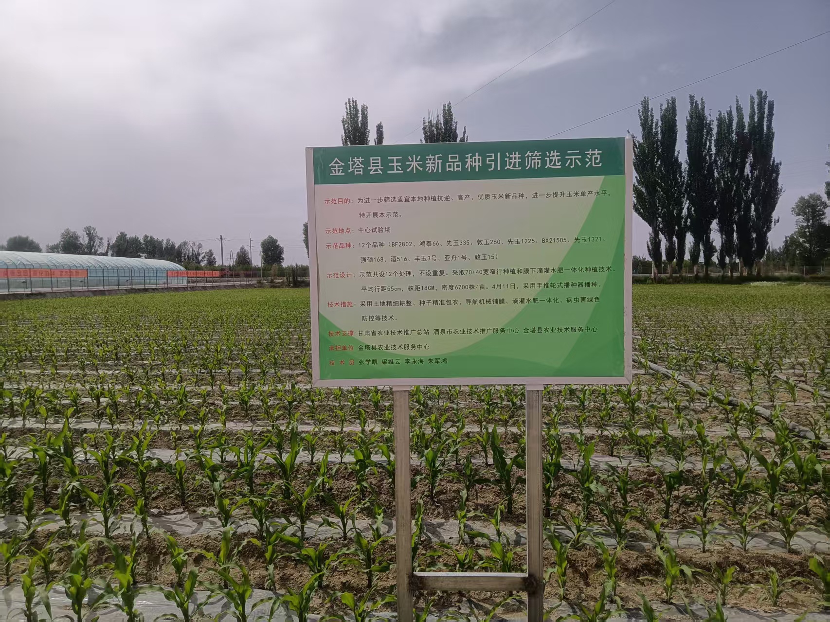 微信图片_20260604172138_30_386.jpg