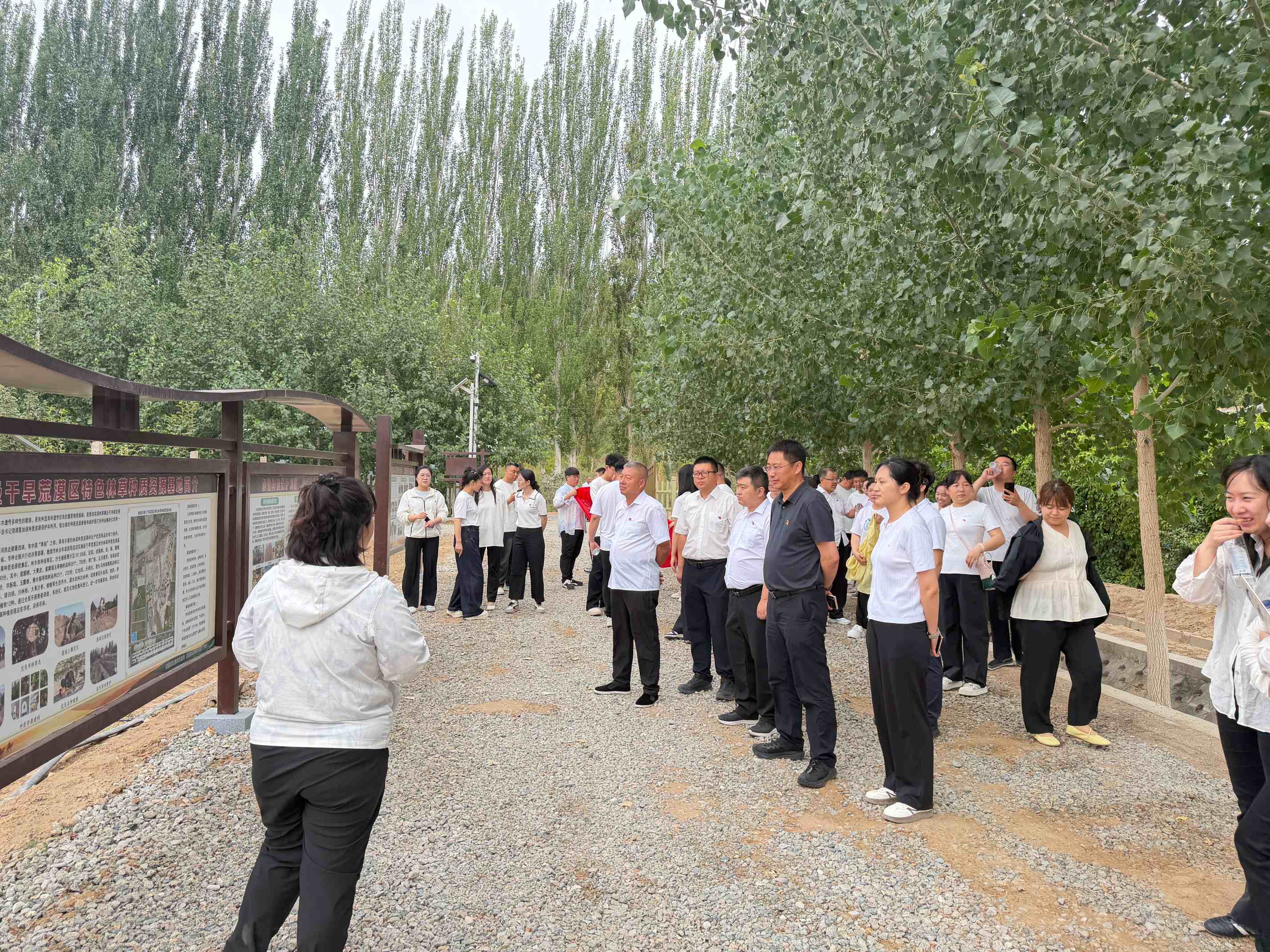 图片5.jpg