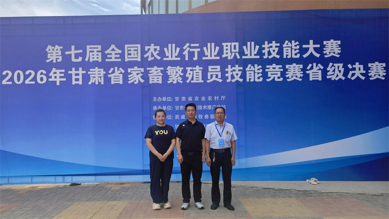图片7.png