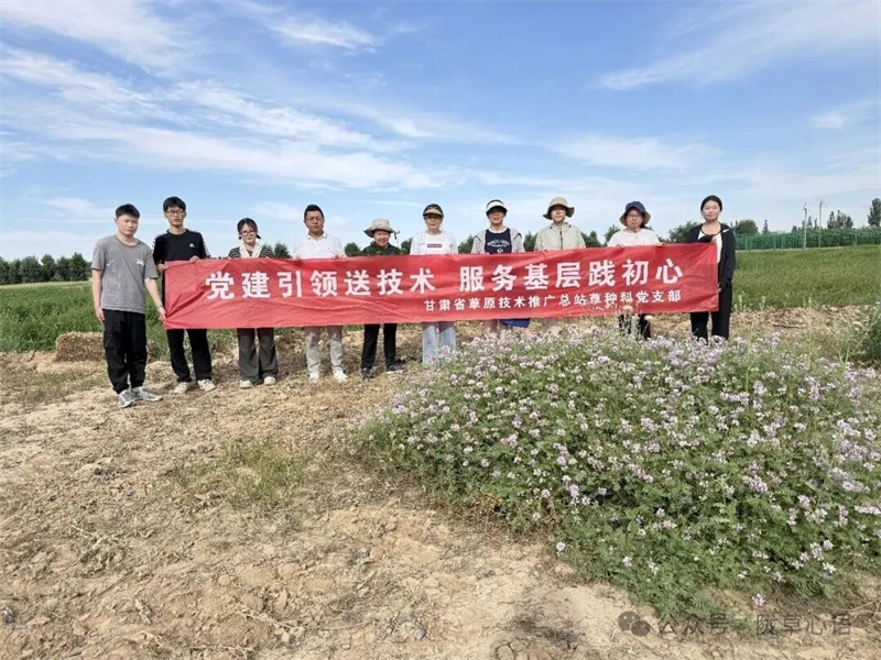 640 (3).jpg