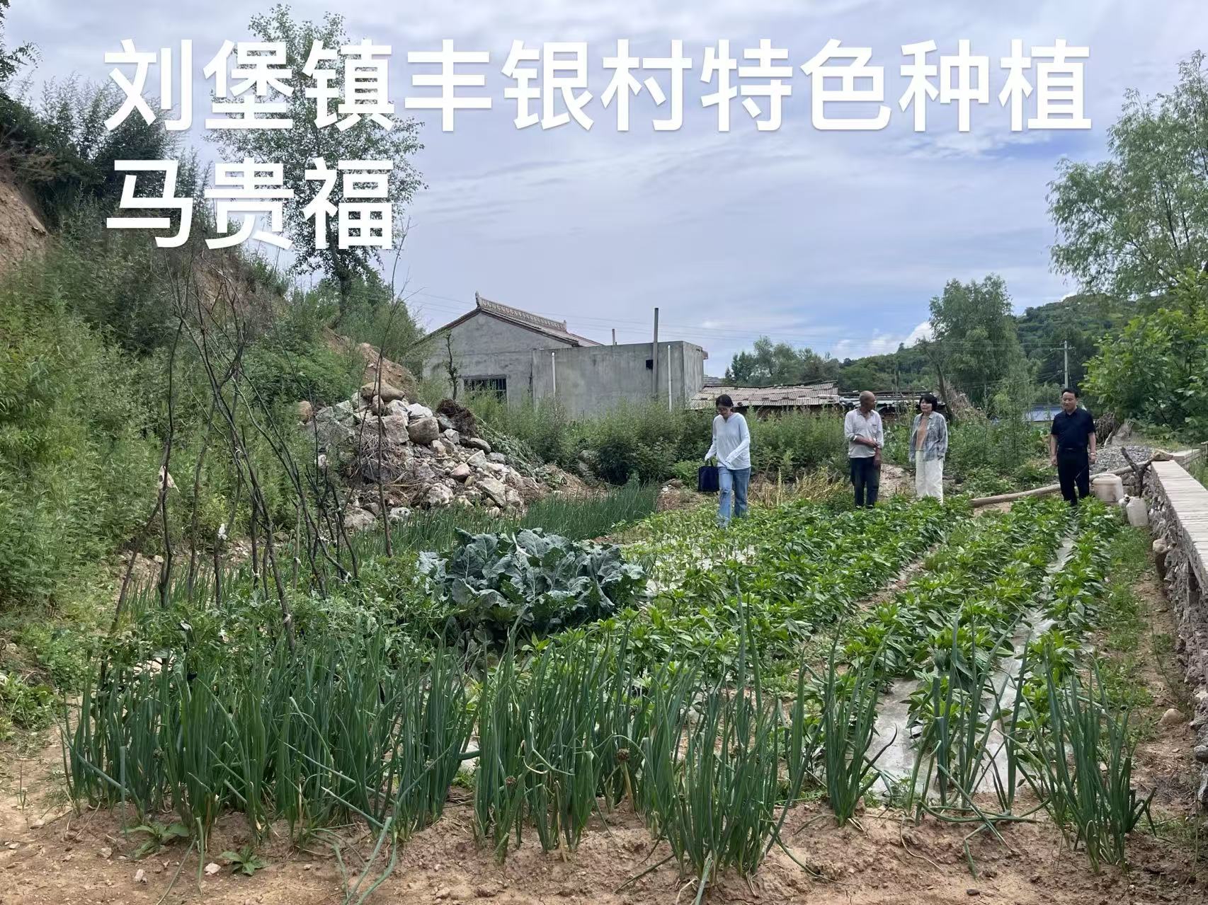 微信图片_20260713090306_51_321.jpg