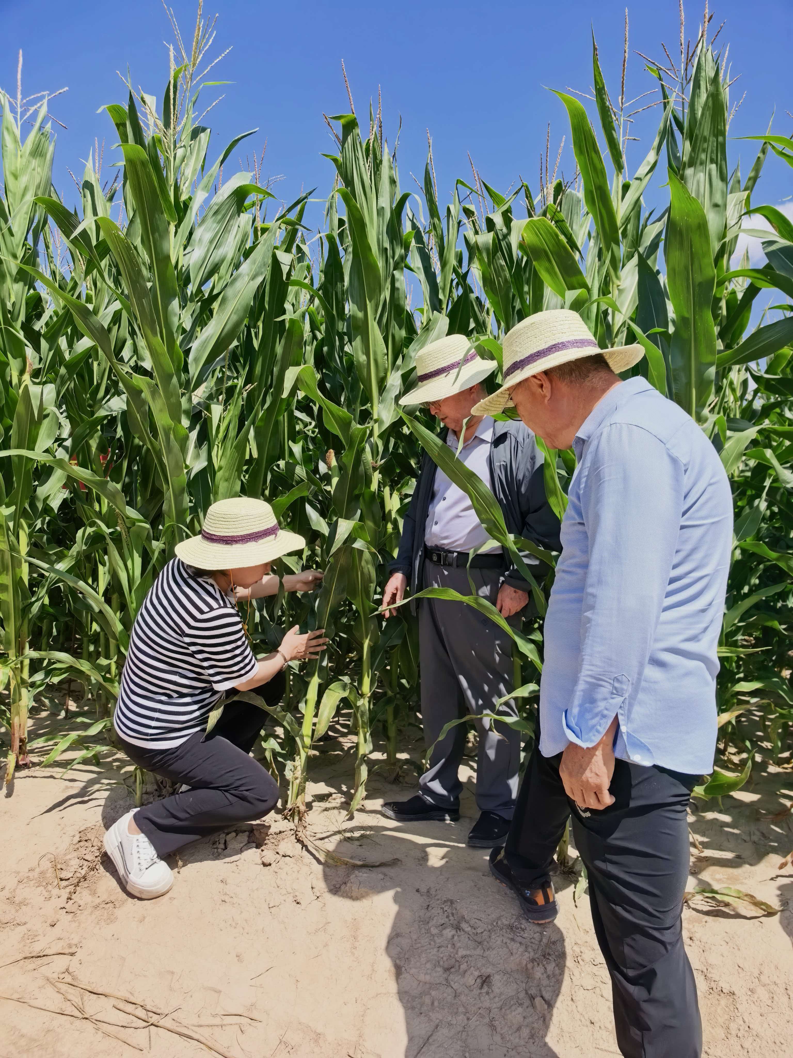 微信图片_20260817103550_25_1.jpg