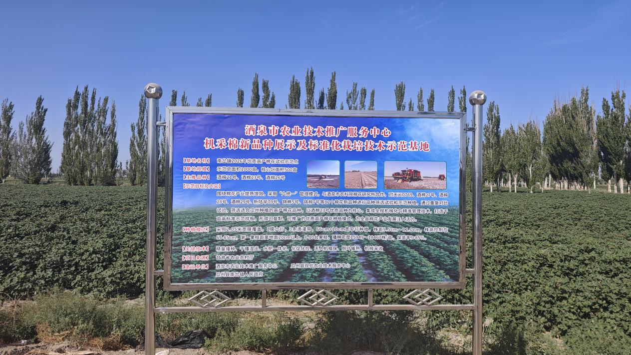 图片6.png